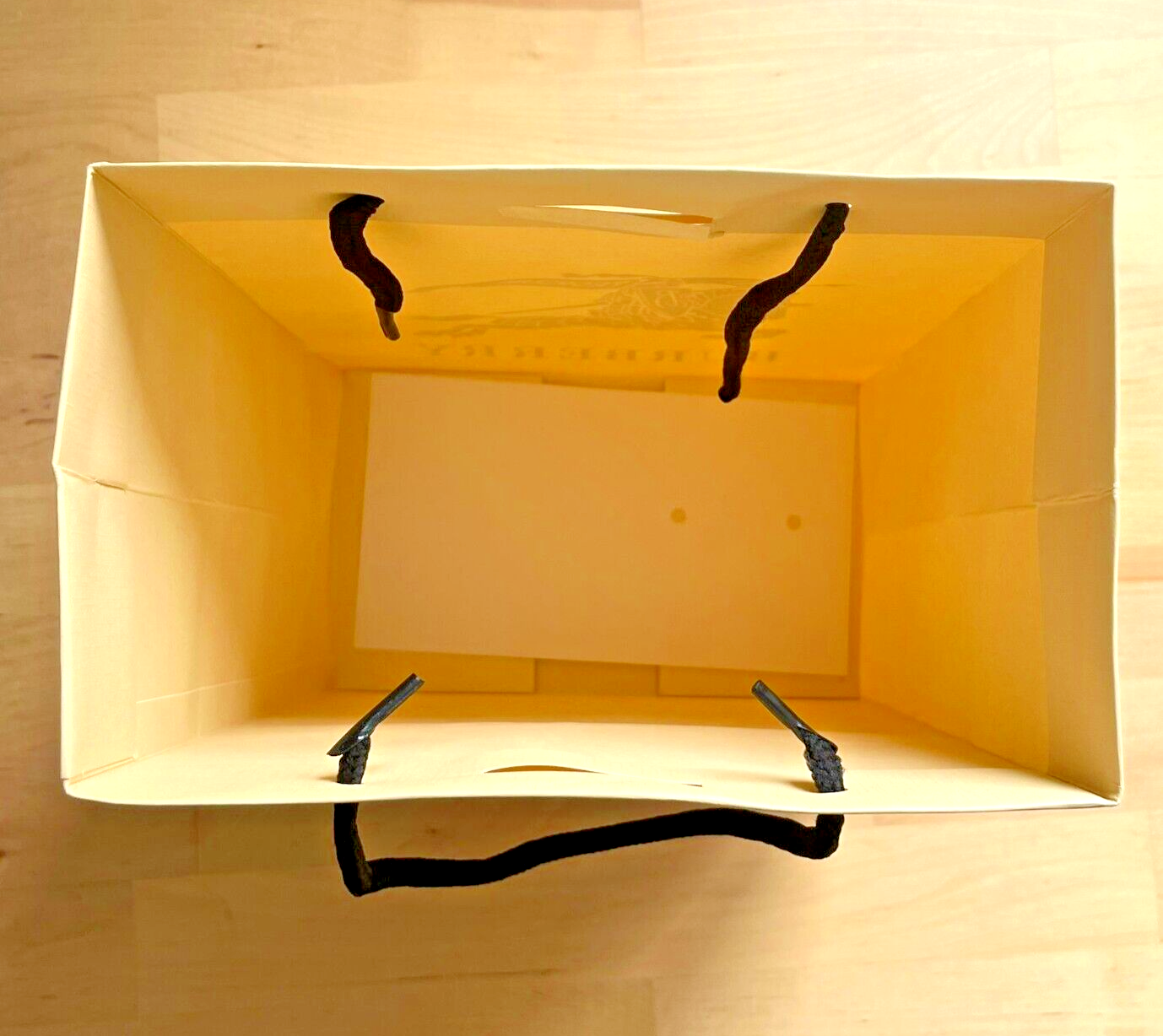 New Burberry Gift Presentation Bag