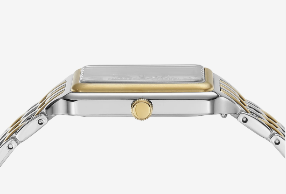 Fossil Raquel Three-Hand Date Two-Tone Stainless Steel Watch ES5305